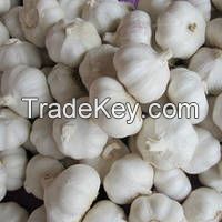 New Crop Fresh Natural Garlic White Garlic with Best Garlic Price