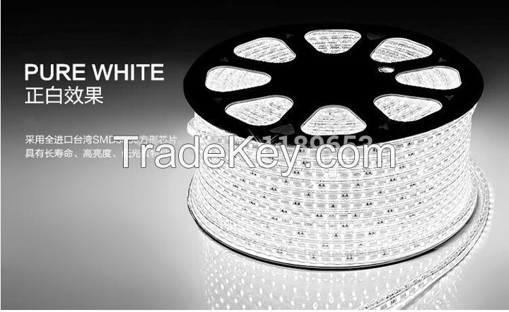 AC220V 5050 60 LEDS flexible LED strip