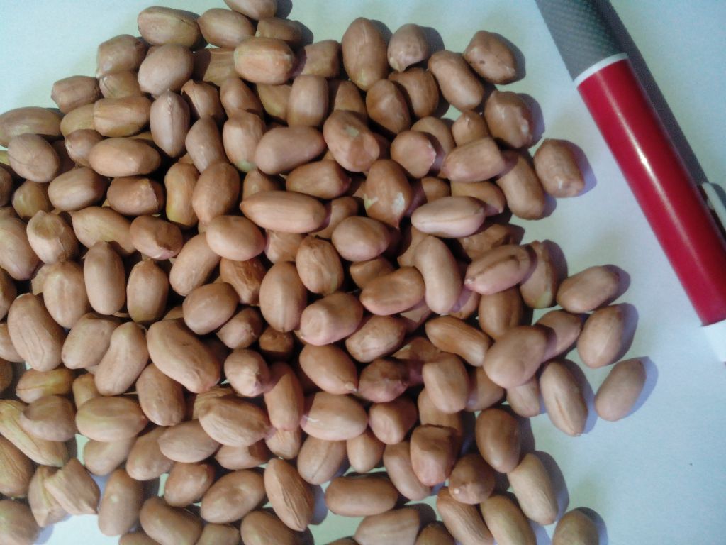 Fresh Peanut kernels