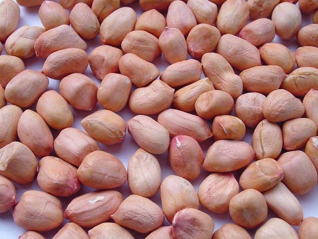 raw peanuts for sale