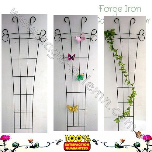 Iron garden trellis