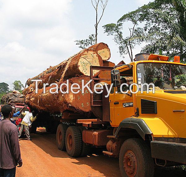 Bubinga African wood logs and timber