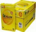 Ik plus paper yellow