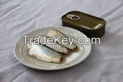 Canned Titus Sardines