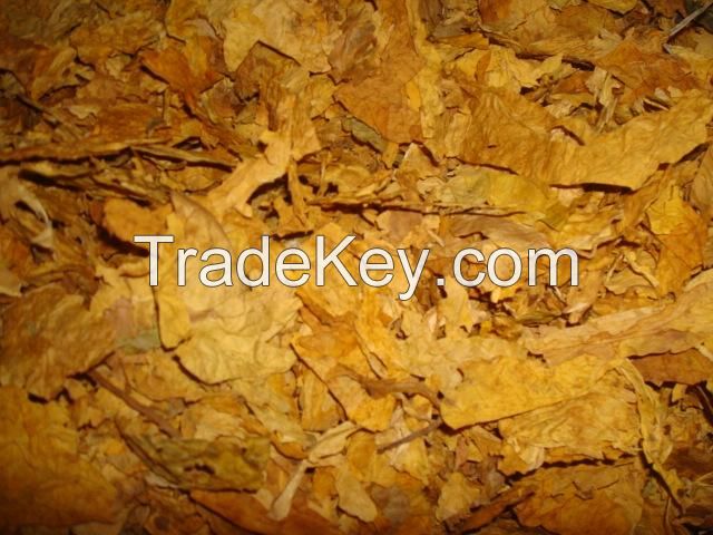 Raw Tobacco Leaf