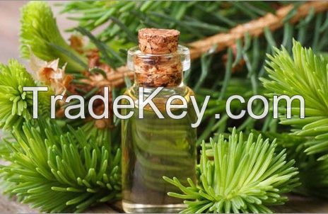 Moringa Oleifera oil