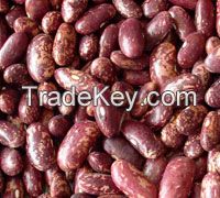 Speckled Kidney Beans / Red Kidney Beans /  Purple Kidney Beans