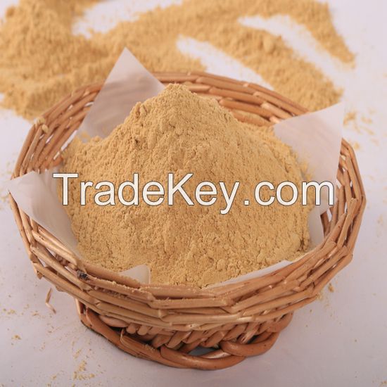 Ginger Powder