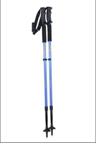 nordic walking stick