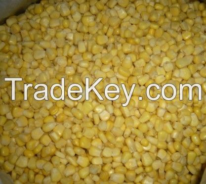 IQF frozen sweet kernel corn