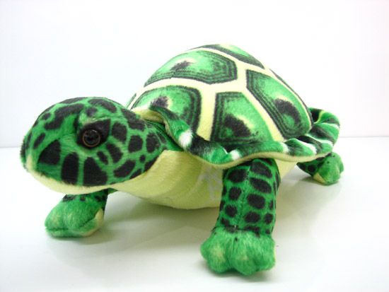 Testudo gracea plush toy