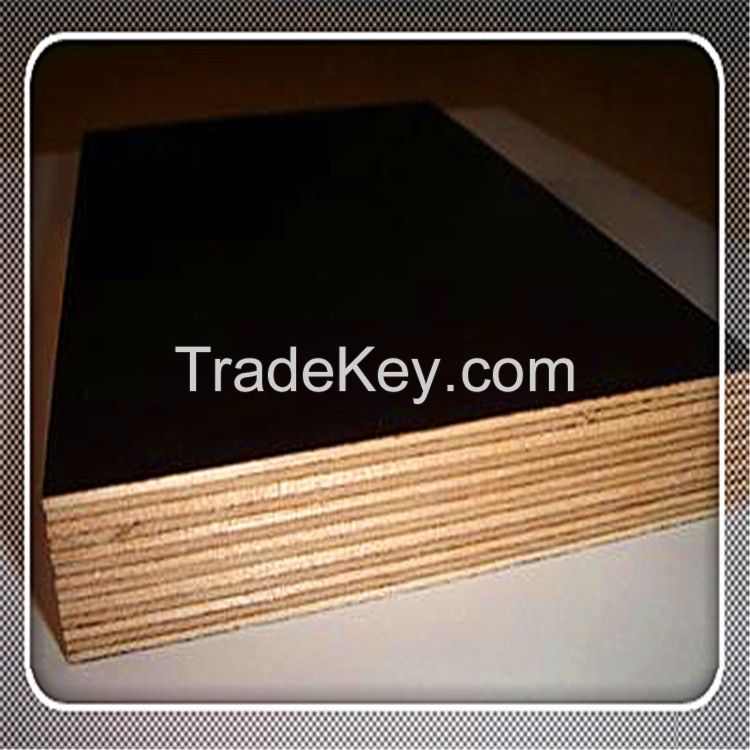 high quality film faced plywood