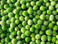 Fresh and Frozen Green Peas