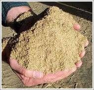 Animal Feed Cattle Feed Goat Feed