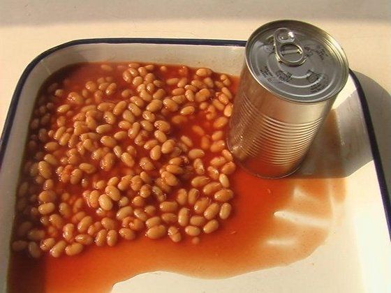 Canned White Kidney Bean