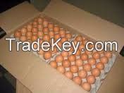 FARM FRESH BROWN CHICKEN TABLE EGGS