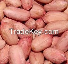 Super Quality Red Skin Peanuts / Groundnuts Kernel (BOLD) Available New Crop
