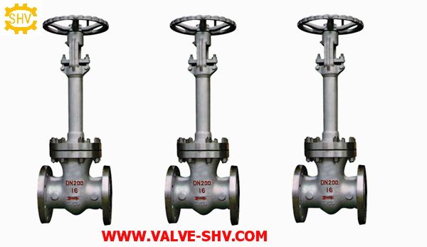 Cryogenic Gate Valve