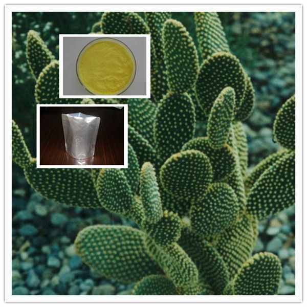 10:1 20:1 cactus extract