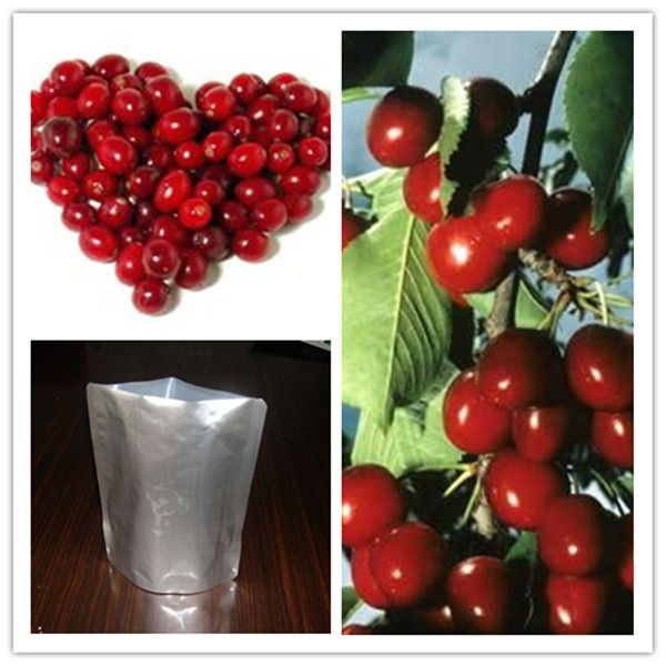 25% anthocyanidins cranberry extract