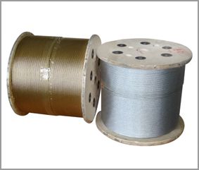 Steel  wire rope for conveyor belt