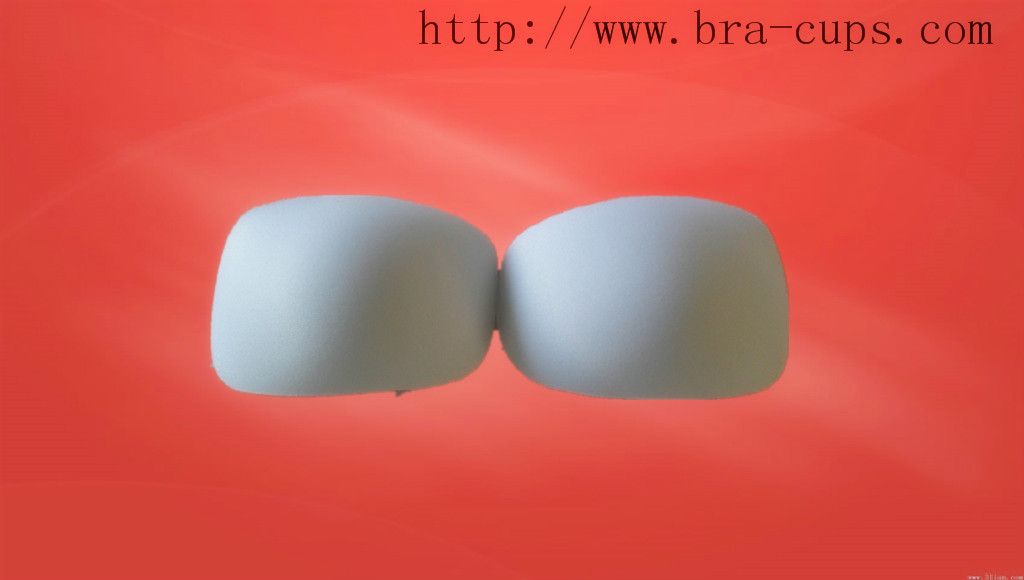 cheapest  useful bra pads
