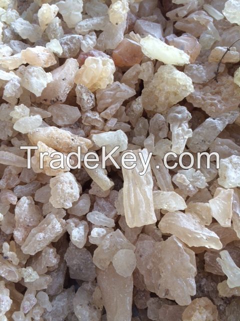 Supplier of Gum Copal PWS, DBB, WS Origin Indonesia Export Quality