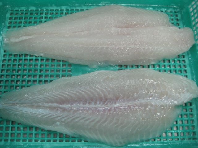 PANGASIUS FILLET WHITE MEAT