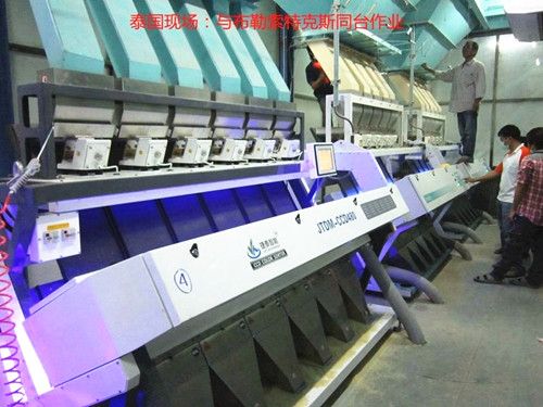 Latest China JT-480 channels coffee beans color sorter machine