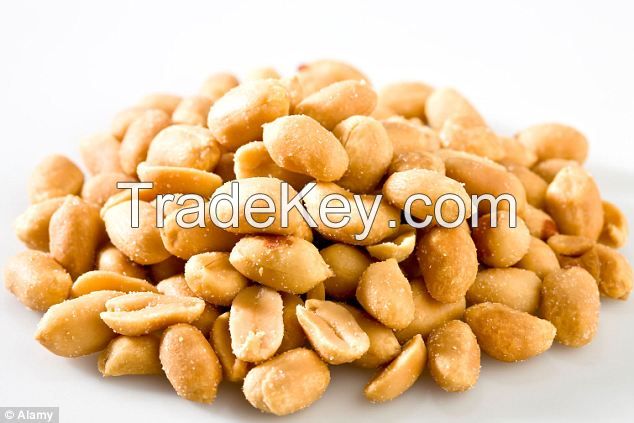 Various type of nuts