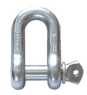 Stainless steel straight D shackle