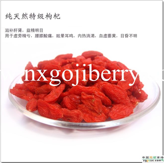 Dried Goji Berry Wolfberry Supply from Ningxia
