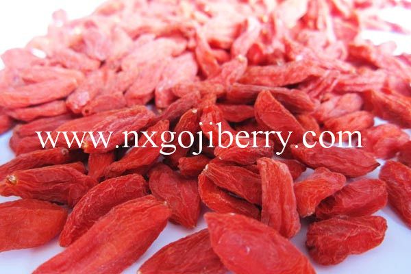 Dried Goji Berry 180-850 Supply from Ningxia