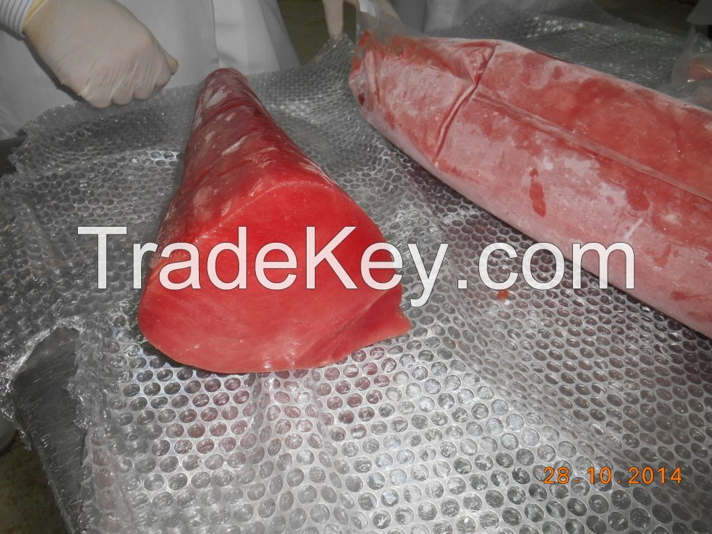 SELLING 500 MT CO TUNA FROM US$ 8.00