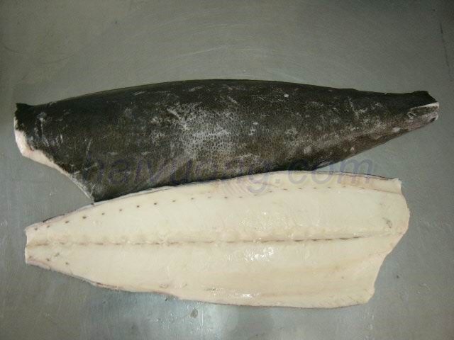 SELLING 10 x 40 FCL OILFISH FILLET AT US$ 5.00