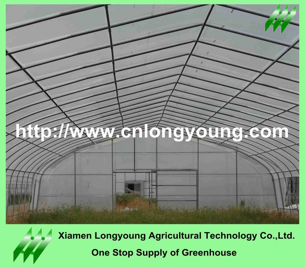 economical  vegetable greenhouse sale