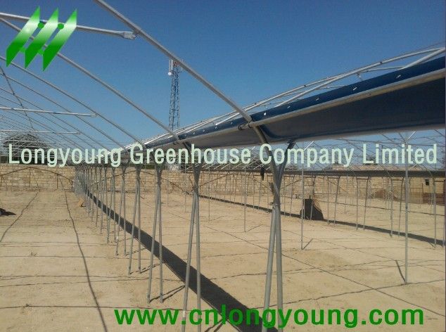 tunnel-connected greenhouse hot