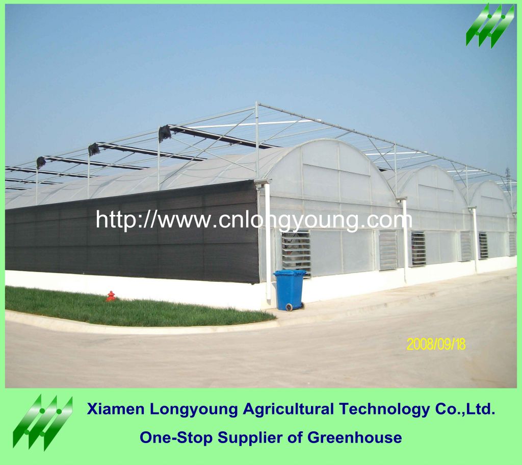 Multi-span Plastic Greenhouses
