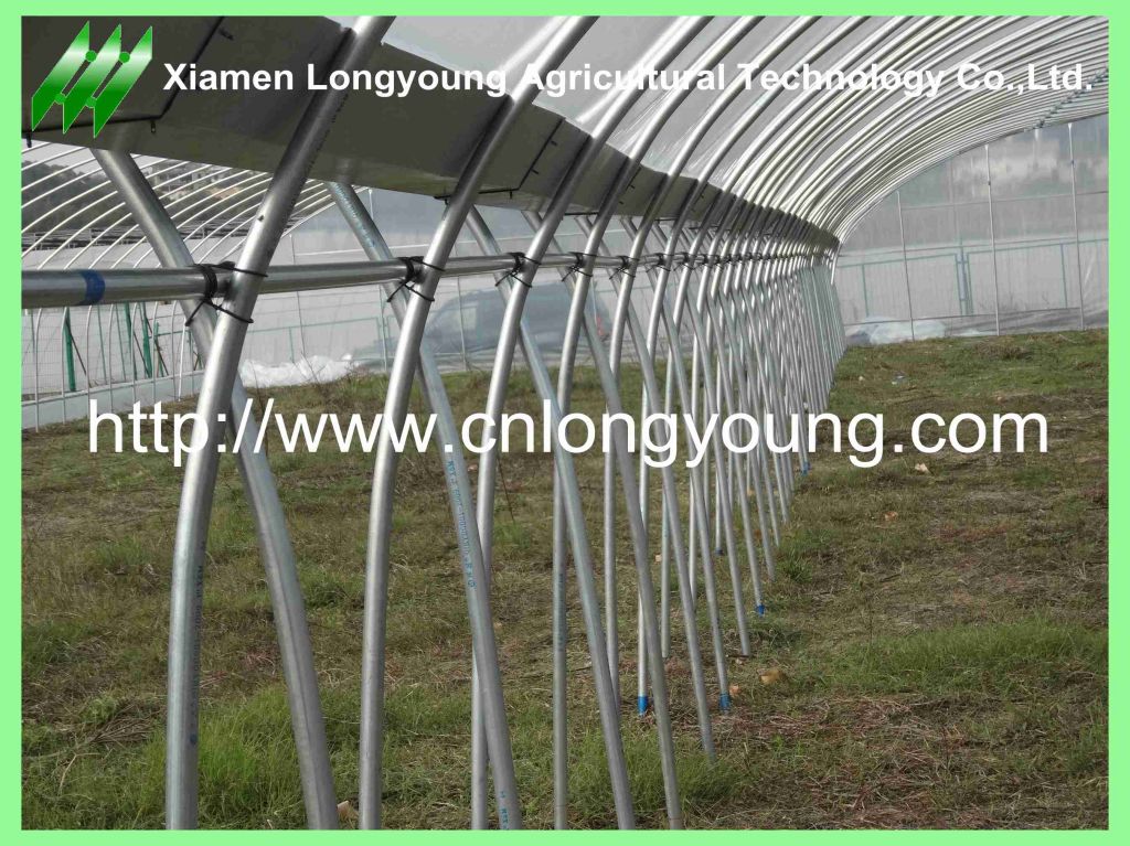 Tunnel-Connected Greenhouse