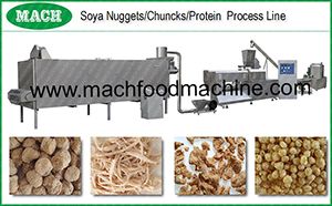 Isolated Protein, Texted Soya Protein, Vegetarian Soya Meat, Soya Nugget Process Machine