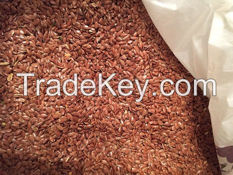 Flax seeds CIF port of world