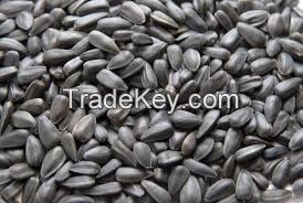 2014 New Crop Sunflower Seeds