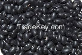 SELL BLACK KIDNEY BEAN