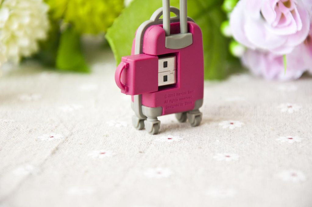 Suitcase usb flash drive