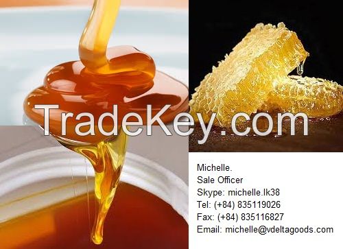 Viet Nam Natural Pure Honey High Quality competitive Price