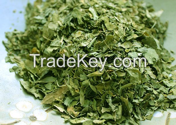 DRIED MORINGA OLEIFERA LEAVES