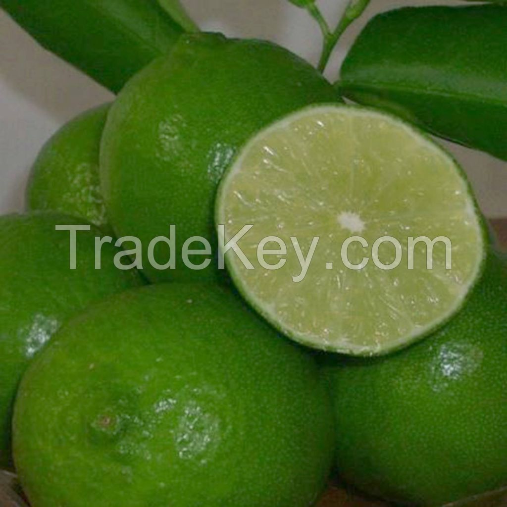 FRESH LEMON/ LIME FROM VIETNAM FOR EXPORT