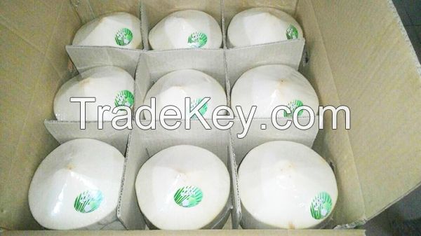 BEST PRICE DELICIOUS FRESH YOUNG COCONUT (whatsapp/viber: 84 166 320 8069)