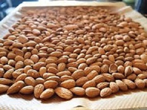 Air dried almond nuts (salted)