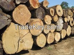 bubinga, dousier, white wood, hard wood, tali, mahogany, African hard wood, soft wood, white wood, wod scrap, contrustion wood